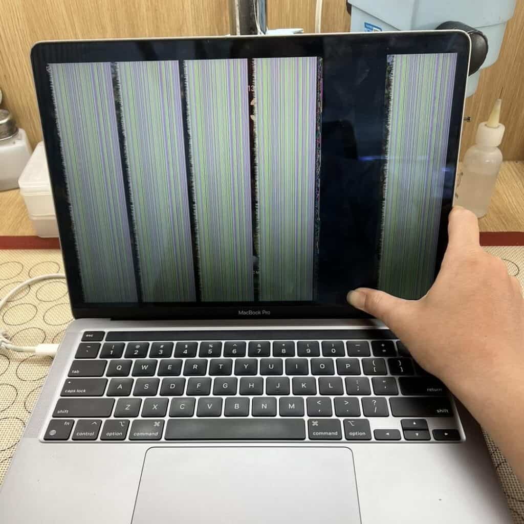 494753456 1245827974217532 7116496115811343765 n