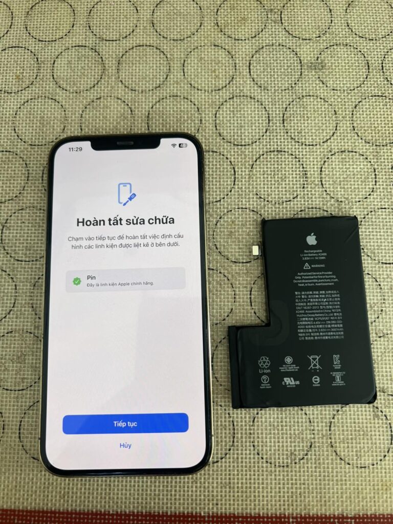 582666122 1422163699917291 5930298483964290118 n