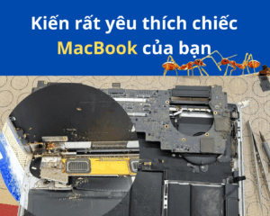 kien vao macbook e1770005386457